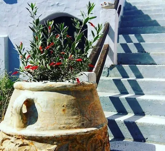 Orfeas Hoyse 1 * Patitiri