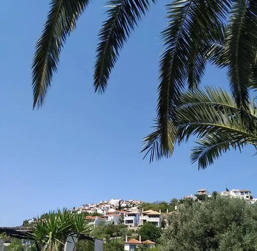 Orfeas Hoyse 1 Patitiri